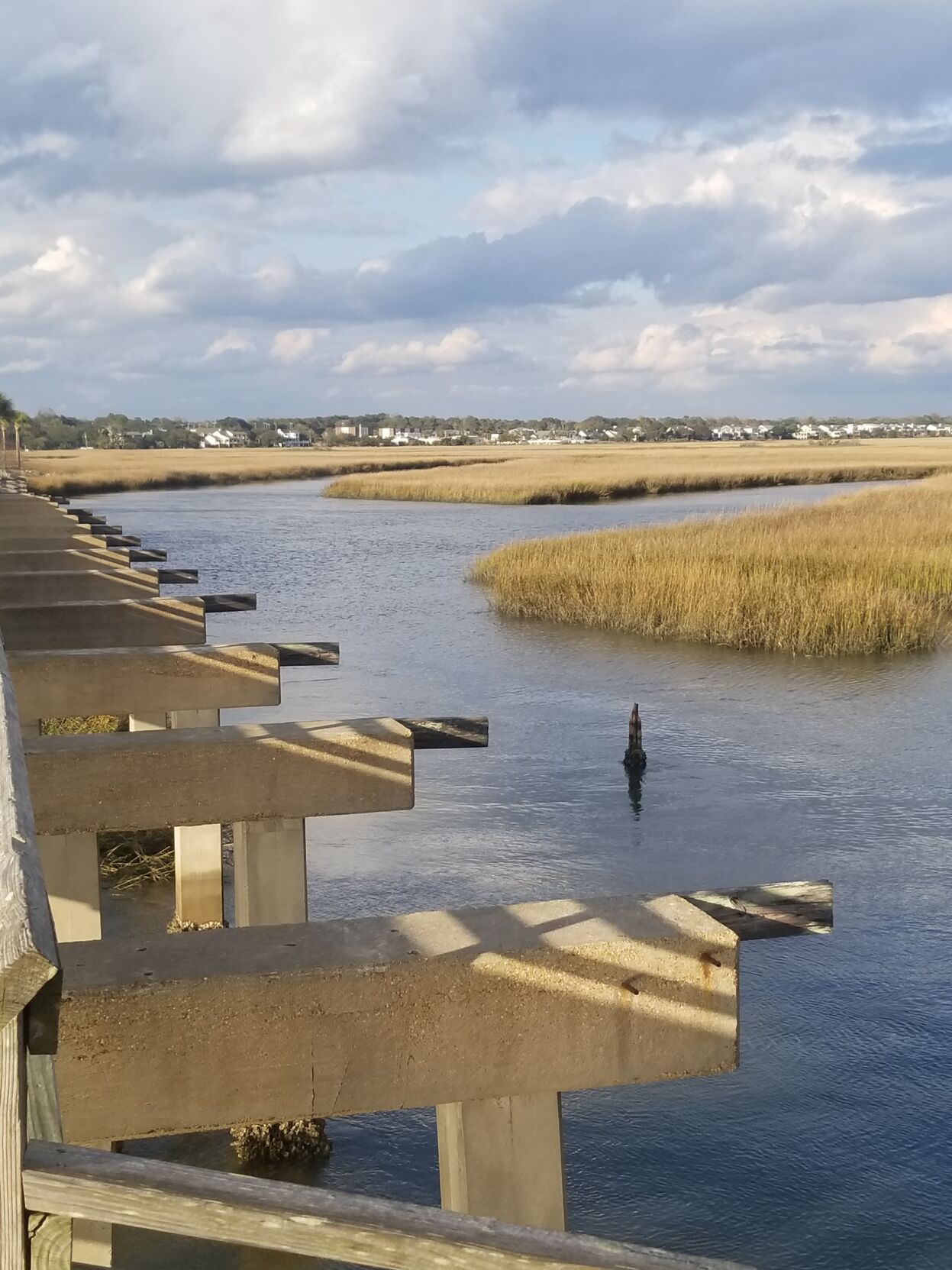 Pitt Street Bridge